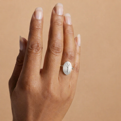 RESTORE RING, Restoration Laos Partnership